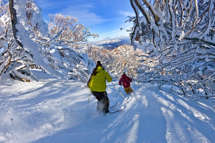 From Melbourne: Mount Buller Village and Resort Day Trip