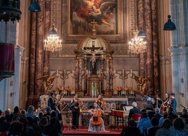 Vienna: Classical Concerts in the Minorite Church