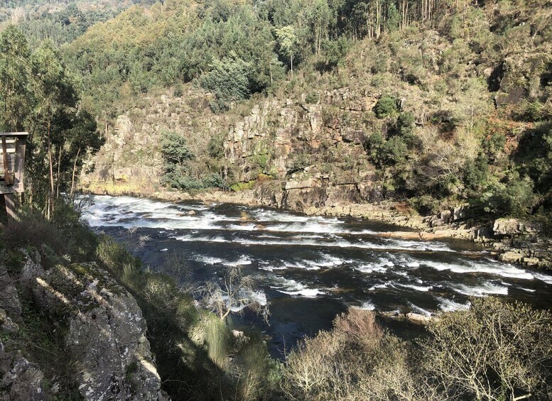 Picture 4 for Activity From Porto - Paiva Walkways and Suspension Bridge with lunch