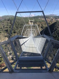 From Porto - Paiva Walkways and Suspension Bridge with lunch