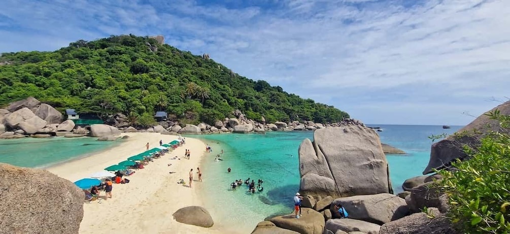 Picture 4 for Activity From Koh Pha Ngan: Koh Tao & Nang Yuan Boat Tour with Lunch