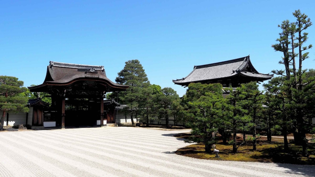 Picture 11 for Activity Kyoto: Ninnaji Temple Entry Ticket