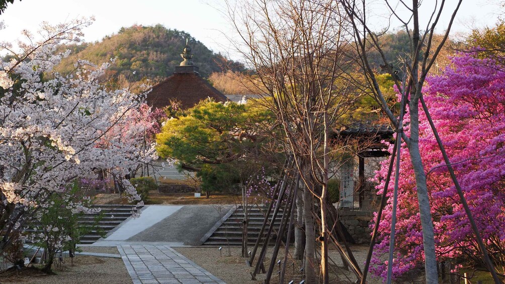 Picture 6 for Activity Kyoto: Ninnaji Temple Entry Ticket