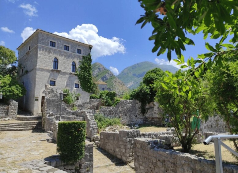 Picture 6 for Activity Bar: Old Town and Rikavac Canyon Tour with Food and Rakija