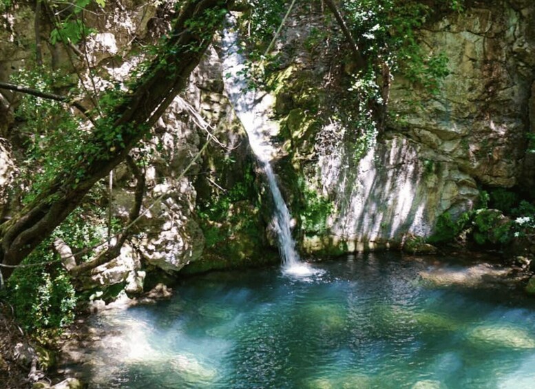 Picture 4 for Activity Bar: Old Town and Rikavac Canyon Tour with Food and Rakija