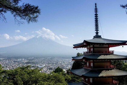 Mount Fuji - Private Tour with English Speaking Chauffeur