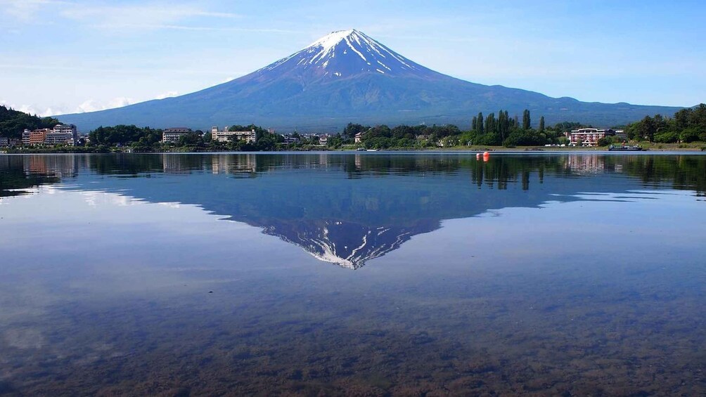 Picture 1 for Activity Mount Fuji - Private Tour with English Speaking Chauffeur