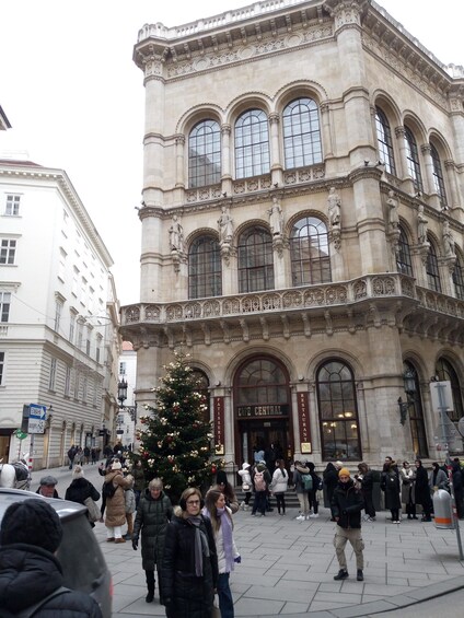 Picture 8 for Activity Walking on the historical trail of Viennese Christmas Trees