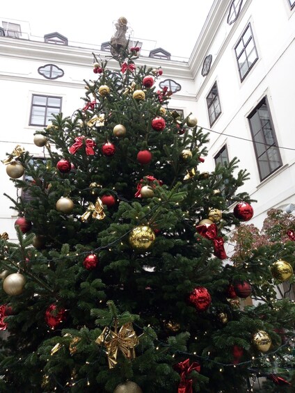 Picture 3 for Activity Walking on the historical trail of Viennese Christmas Trees