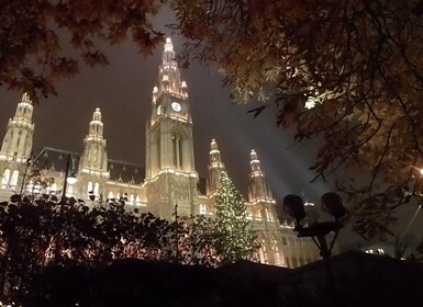 Walking on the historical trail of Viennese Christmas Trees