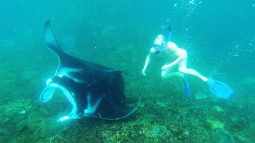 Nusa Penida: Manta Point 3 Spot Snorkelling and Land Tour