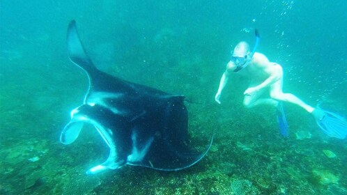 Nusa Penida: Manta Point 3 Spot Snorkeling and Land Tour