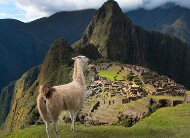 Desde Cusco: Machu Picchu + Montaña Huayna Picchu