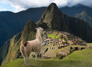 Depuis Cusco : Machu Picchu + montagne Huayna Picchu