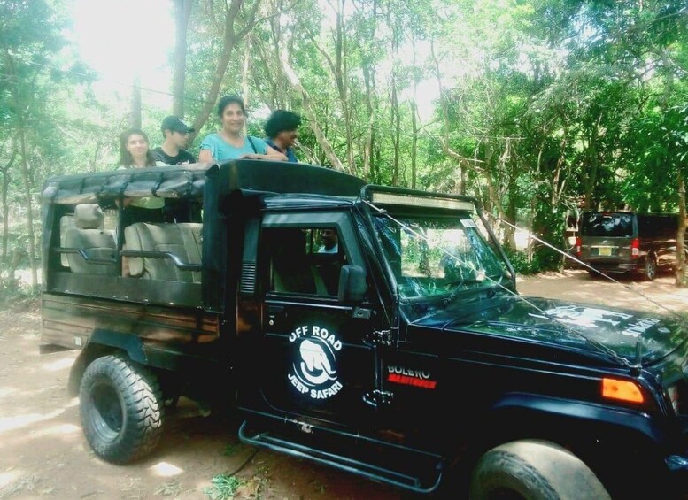 Picture 15 for Activity From Negombo: Sigiriya / Dambulla & Minneriya National Park