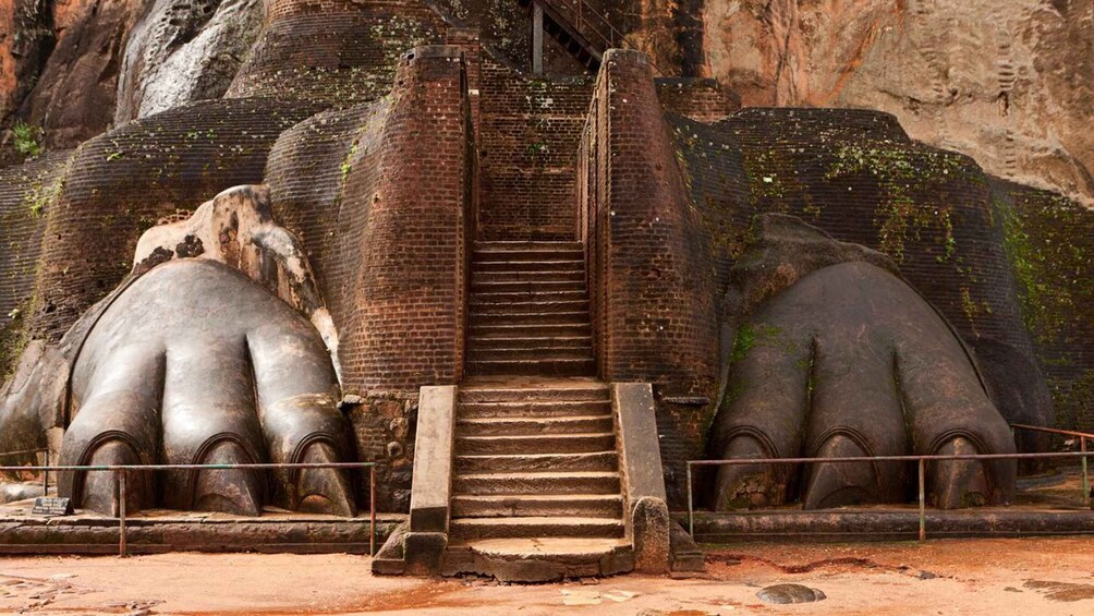 Picture 3 for Activity From Negombo: Sigiriya / Dambulla & Minneriya National Park