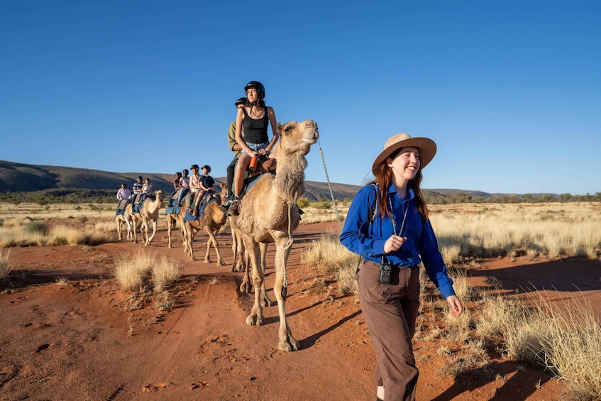 Alice Springs: Guided Outback Camel Ride