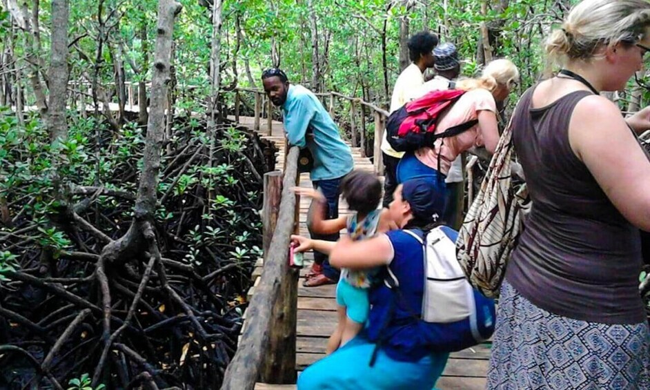 Picture 3 for Activity Zanzibar: half-day Trip on Jozani Forest