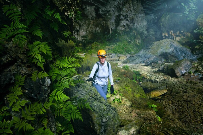 Picture 3 for Activity From Hue: One day Phong Nha Cave experience