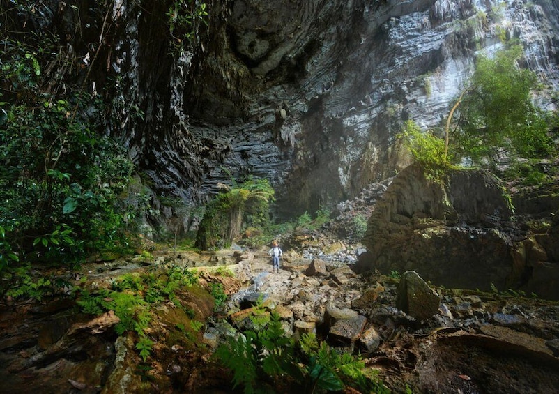 Picture 6 for Activity From Hue: One day Phong Nha Cave experience