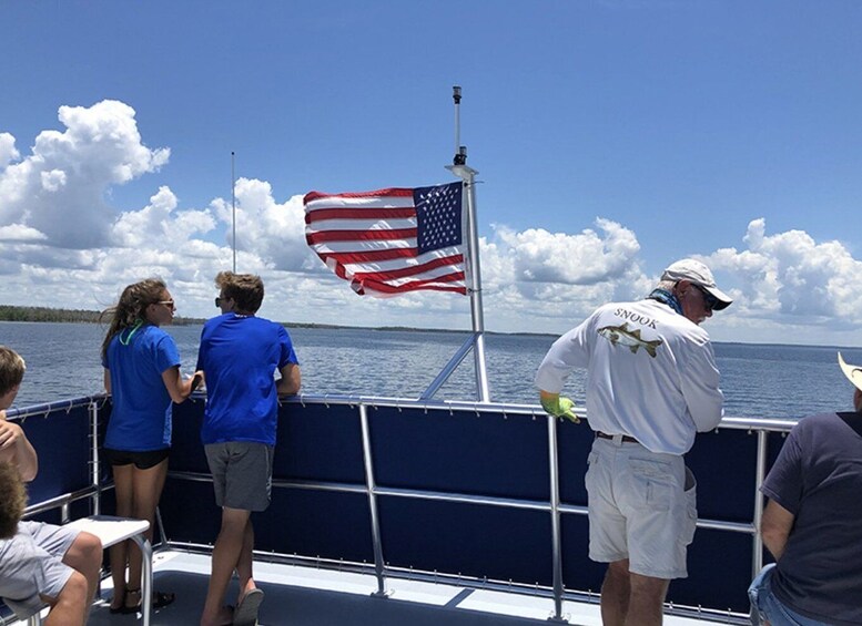 Picture 4 for Activity Panama City: Sunset Dolphin Cruise in St. Andrews Bay