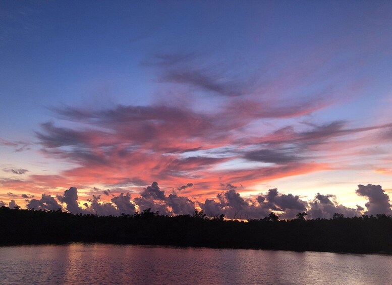 Picture 1 for Activity Panama City: Sunset Dolphin Cruise in St. Andrews Bay