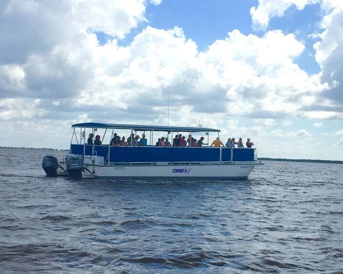 Picture 5 for Activity Panama City: Sunset Dolphin Cruise in St. Andrews Bay