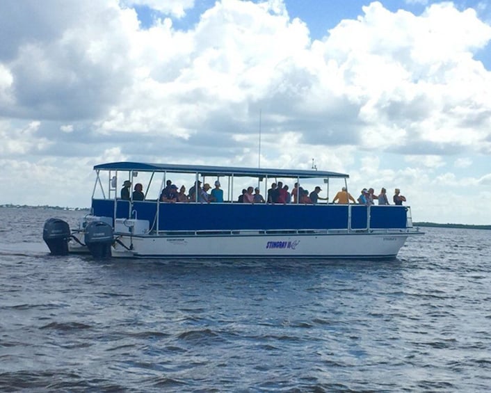 Picture 5 for Activity Panama City: Sunset Dolphin Cruise in St. Andrews Bay