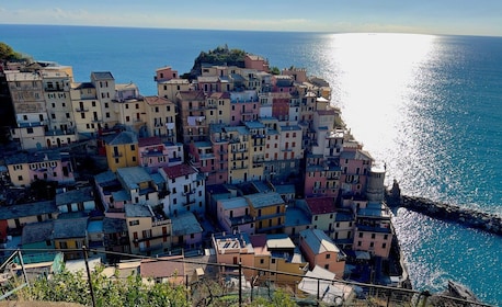 Private Cinque Terre Trekking Tour