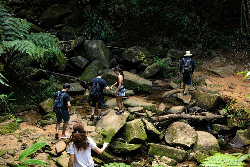 Picture 12 for Activity Paraty: Sono Beach Half-day Tour