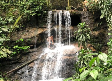 Tijuca Forest´s hike: caves, waterfalls and great views