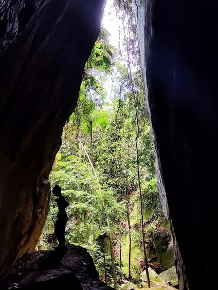 Picture 4 for Activity Tijuca Forest´s hike: caves, waterfalls and great views