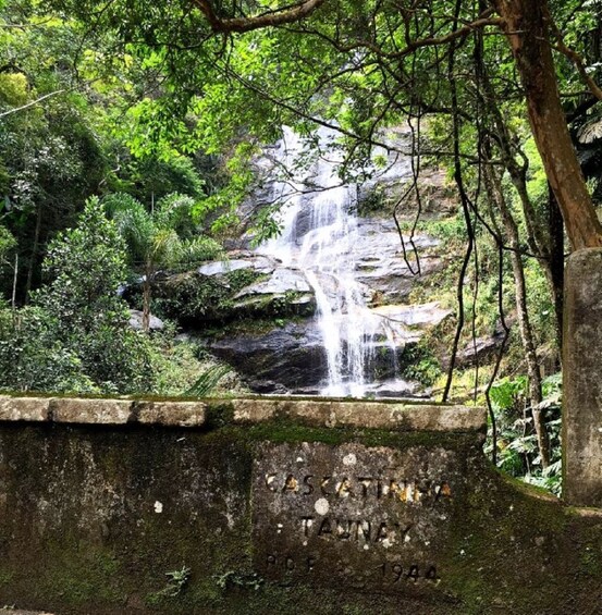 Picture 2 for Activity Tijuca Forest´s hike: caves, waterfalls and great views