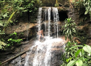 Tijuca Forest´s hike: caves, waterfalls and great views