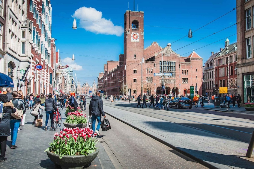 Picture 6 for Activity Bike Tour of Amsterdam Old Town, Top Attractions and Nature