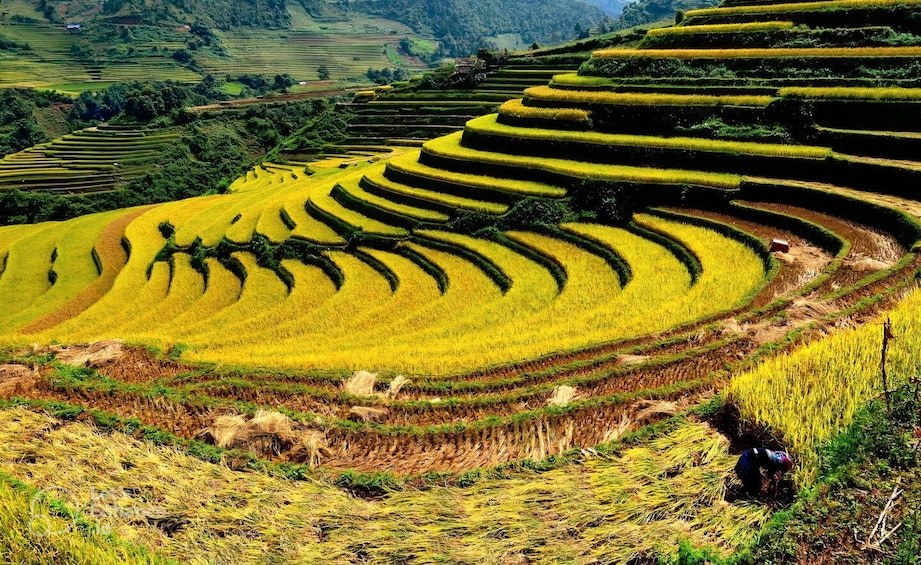 Picture 3 for Activity From Hanoi: 2-Day Sapa with Fansipan Peak and Trekking