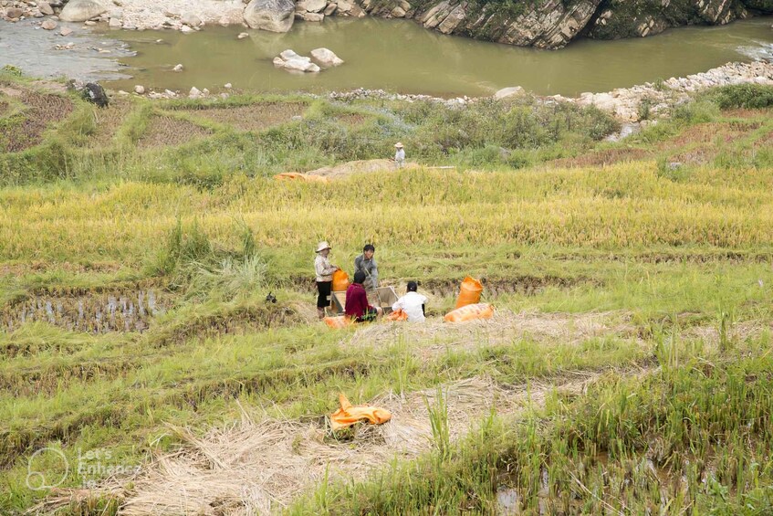 Picture 15 for Activity From Hanoi: 2-Day Sapa with Fansipan Peak and Trekking