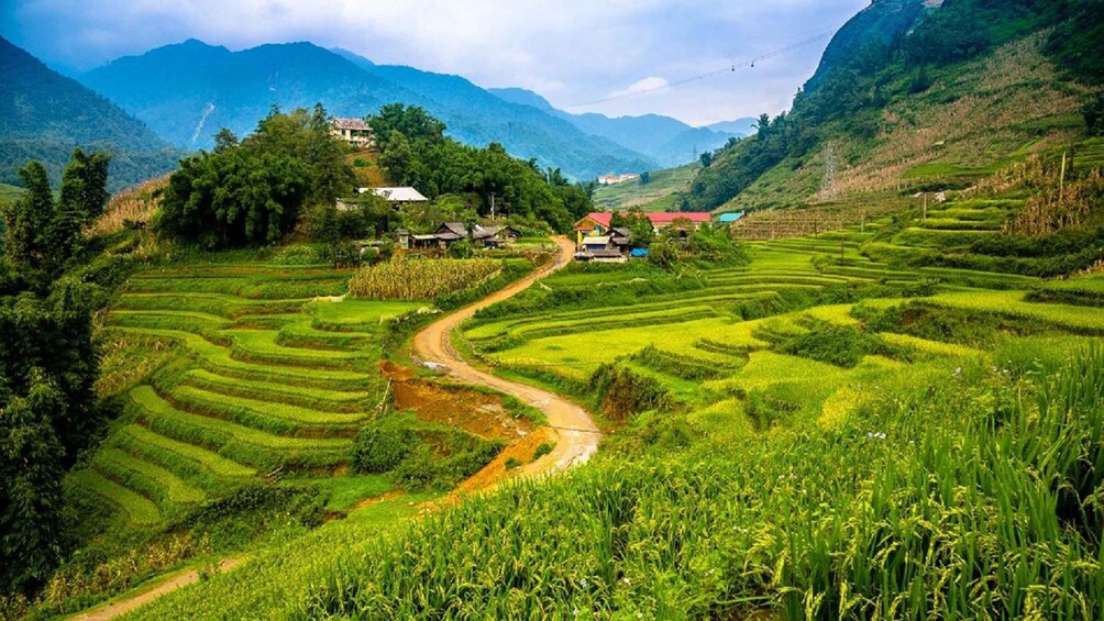 Picture 17 for Activity From Hanoi: 2-Day Sapa with Fansipan Peak and Trekking