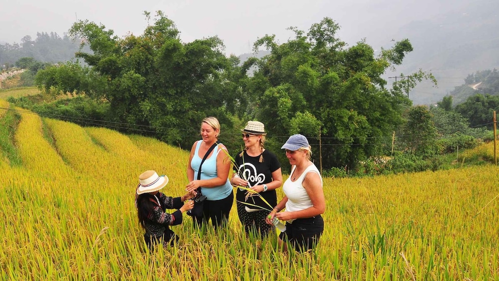 Picture 31 for Activity From Hanoi: 2-Day Sapa with Fansipan Peak and Trekking