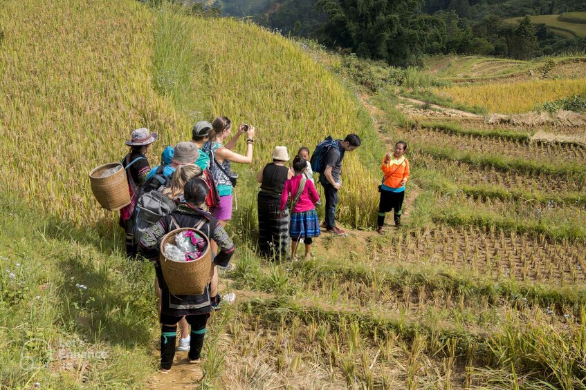 Picture 22 for Activity From Hanoi: 2-Day Sapa with Fansipan Peak and Trekking