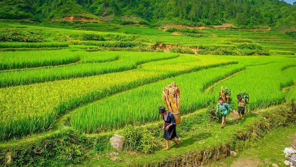 Picture 20 for Activity From Hanoi: 2-Day Sapa with Fansipan Peak and Trekking