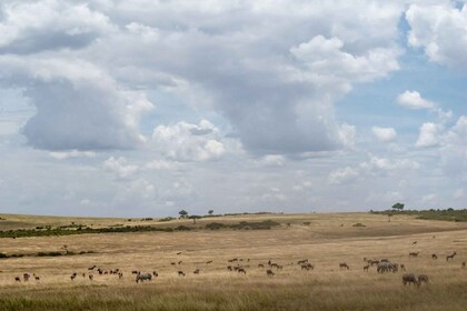 Itä-Afrikan häämatka Fly in Safari paketti