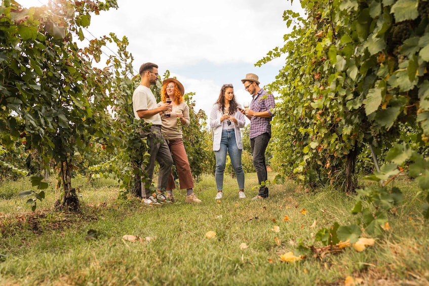 Picture 4 for Activity Collingwood: Blue Mountains Wine and Cider Tasting Tour