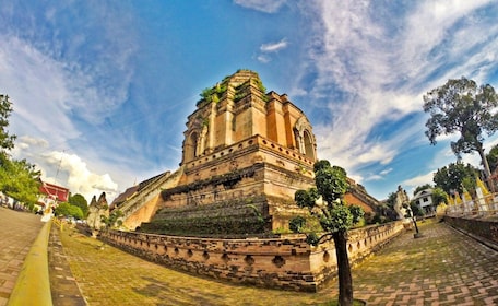 Chiang Mai: Ancient Temples Guided Spanish Tour