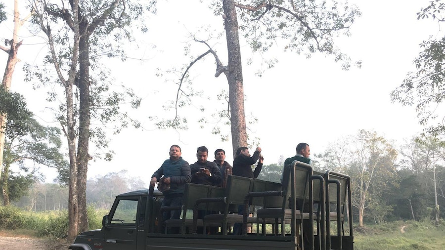 From Chitwan : Jeep Safari,Canoeing,Forest walk Day Tour