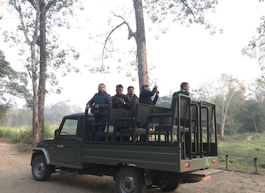 From Chitwan : Jeep Safari,Canoeing,Forest walk Day Tour