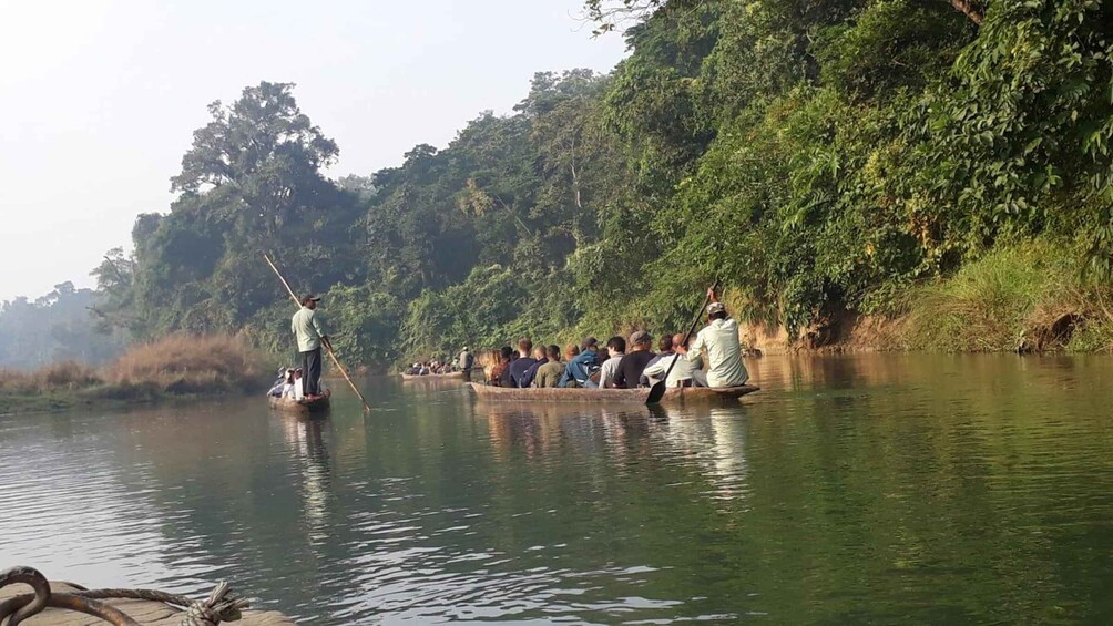 Picture 6 for Activity From Chitwan : Jeep Safari,Canoeing,Forest walk Day Tour