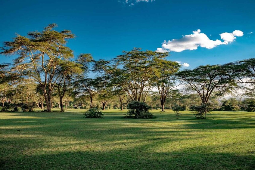 Picture 10 for Activity Day Tour To Hell's Gate National Park and Lake Naivasha