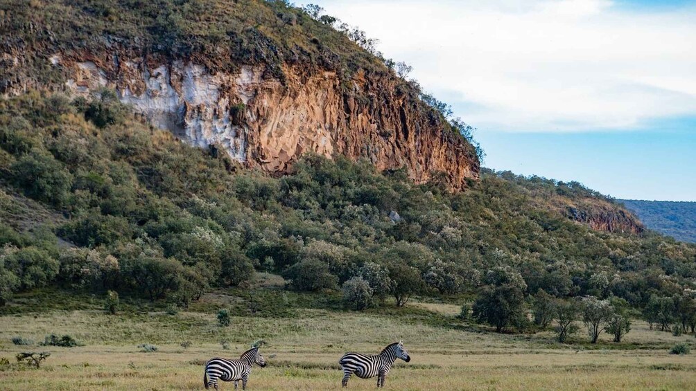 Picture 1 for Activity Day Tour To Hell's Gate National Park and Lake Naivasha