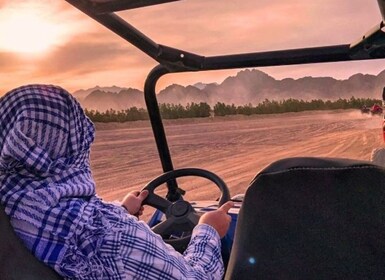 Hurghada: Quad, Jeep, Camel and Buggy Safari with BBQ Dinner